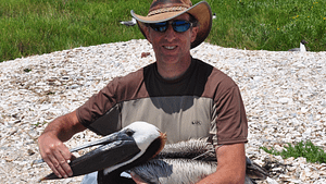 Patrick Jodice with Brown Pelican