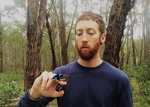 Ettore Camerlenghi and Superb Fairywren