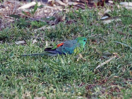 5683120994_812c866b36_b