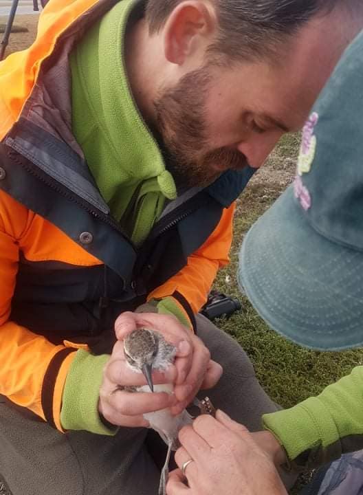 received_417134480450816