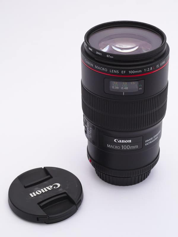 20599931376_af8fee5698_c