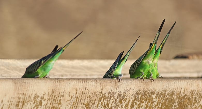 49377675913_f7a6e7bd20_k