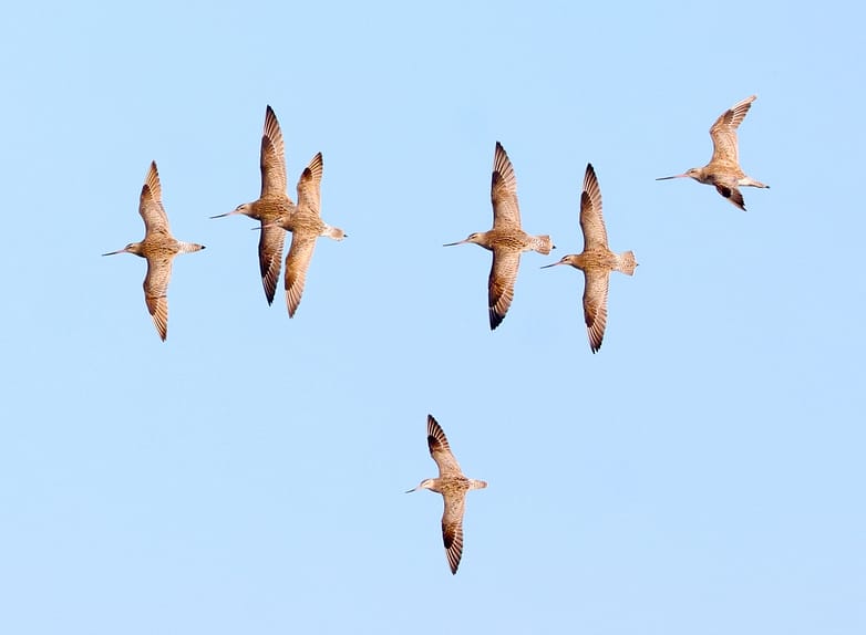 51976243558_7330166aaa_k