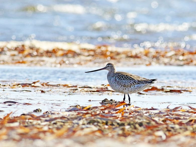 49723545386_22ffb27fb5_k