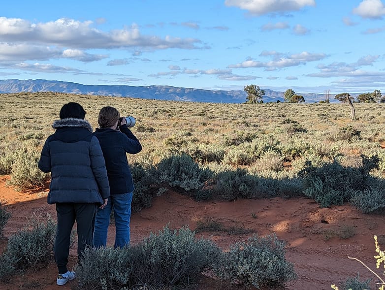 288136466_747070843295117_3875014332338240_n