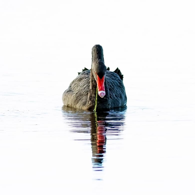 52063472301_564855b1f7_k