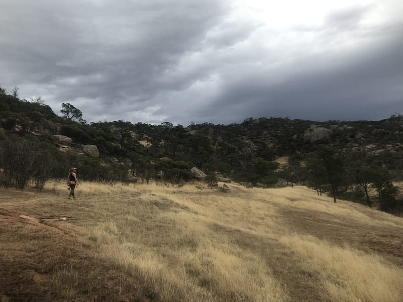 SUFW habitat