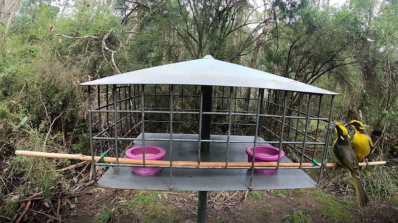 Feed station screen capture