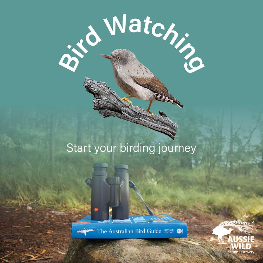 AussieWIld.com Birdwatching course logo