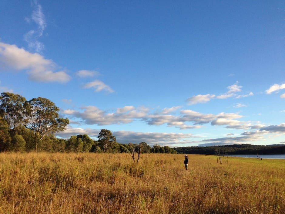 RBFW habitat