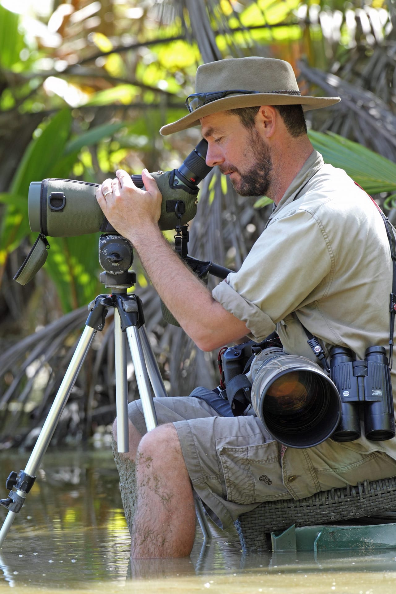 Rohan scoping birds
